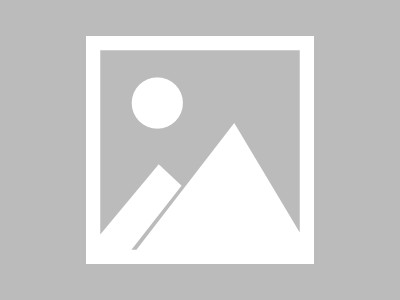 数字赋能，助力乡村振兴—柞水县信息咨询服务的实践与成效
